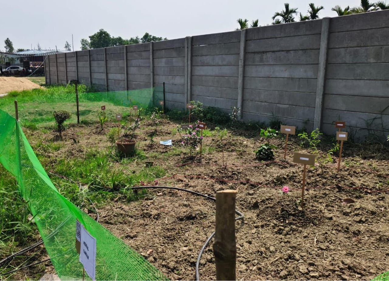 Herbal Garden